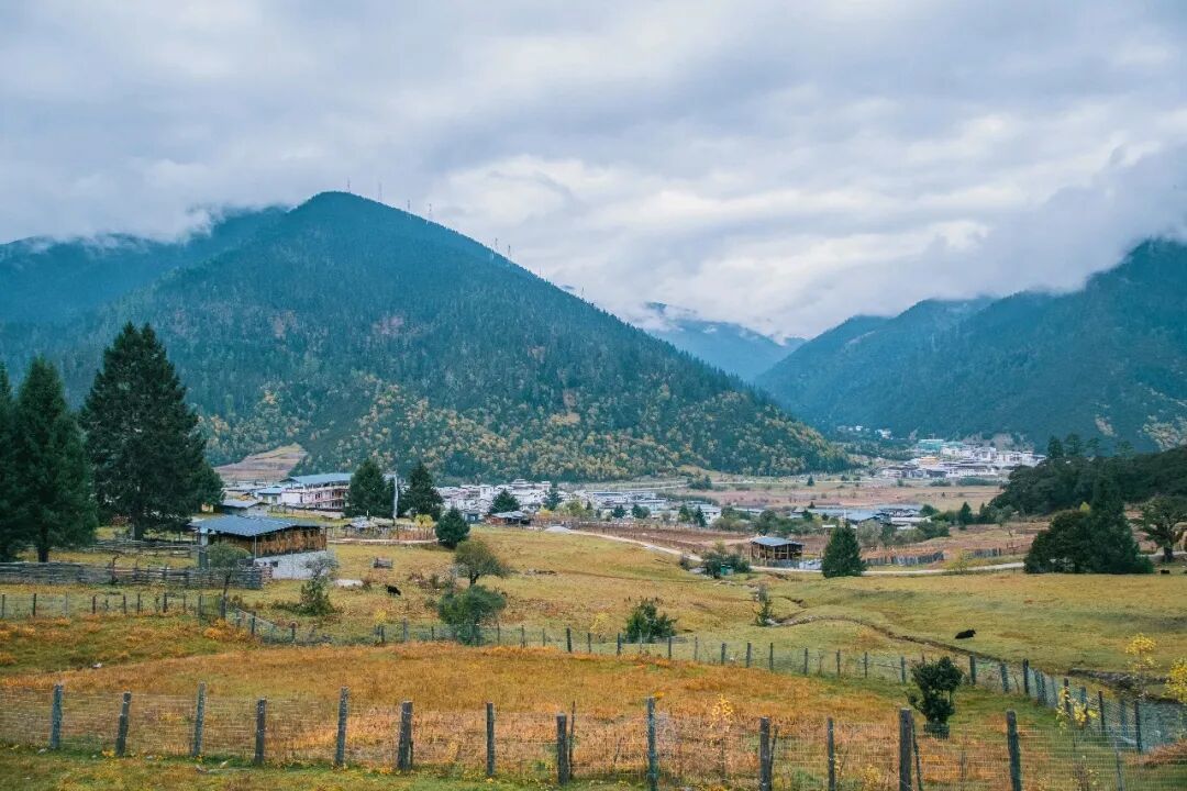 自驾西藏|如果你住林芝鲁朗小镇,可以顺便看看这里