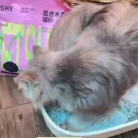 空袋6包后，我的回购清单里还有它！