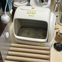 空气萝卜C40使用1个月真实体验