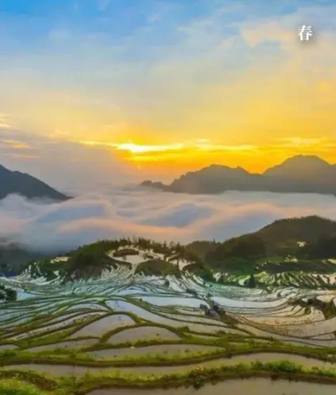 新年丽水4天3晚，神仙之旅