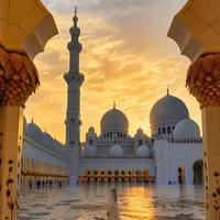 阿布扎比🕌我好像闯进了现实版的一千零一夜