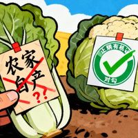 有机蔬菜 vs 普通蔬菜？我们汇总了62位用户真实观点，答案在这