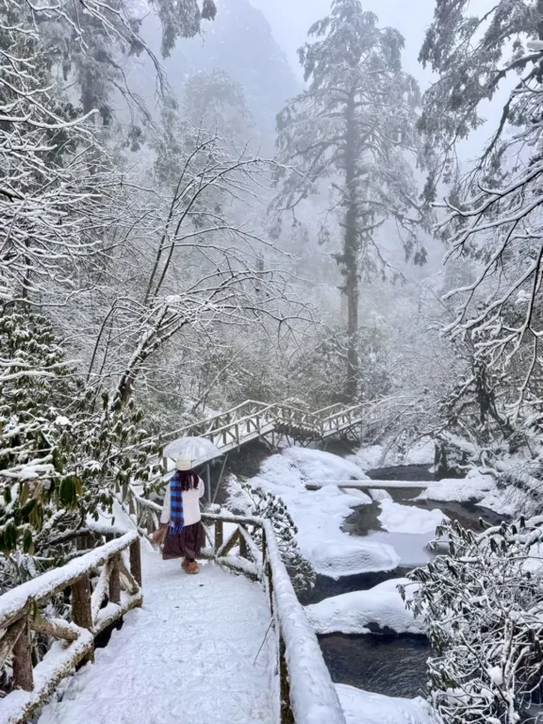 川内小众玩雪地！被冰雪秘境美哭了！！❄️
