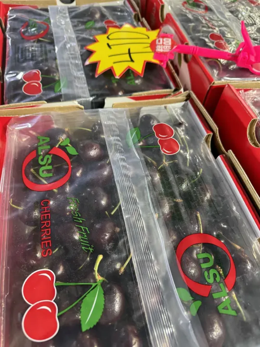 乌鲁木齐九鼎保姆级攻略