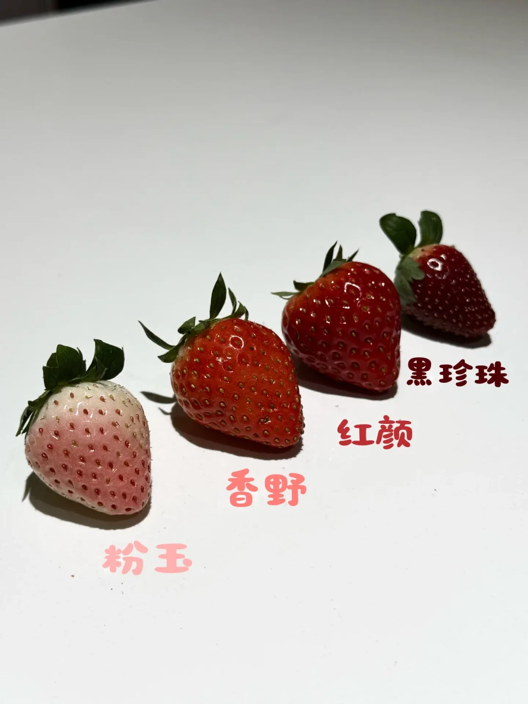 四种市面上常见草莓🍓评测🆚对比