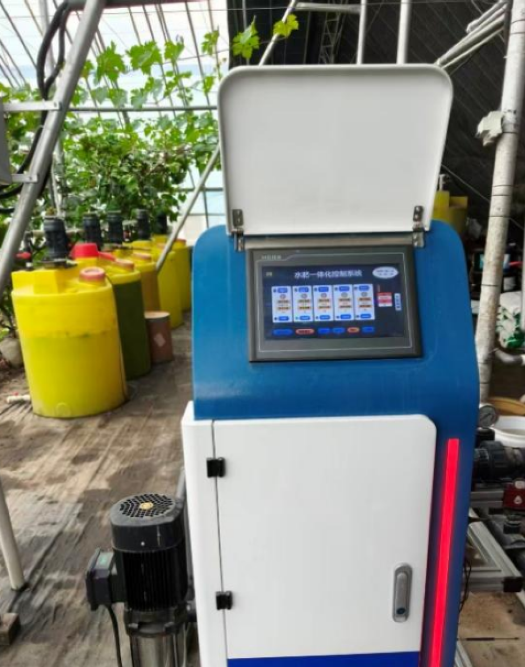 低温越冬巧水肥 高效管理促增收
