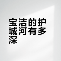 宝洁（P&G）2026财年第二季度财报电话会议