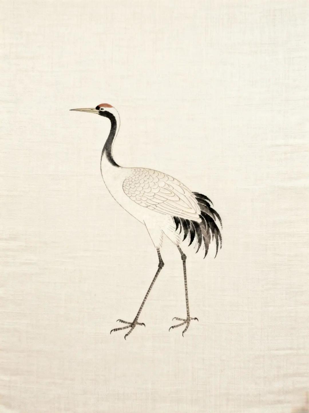 国风素材 鹤