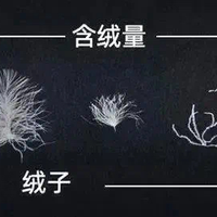 今天起，对待羽绒服请调整一下！