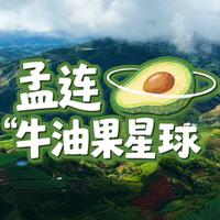 在云南孟连,有个“牛油果星球”