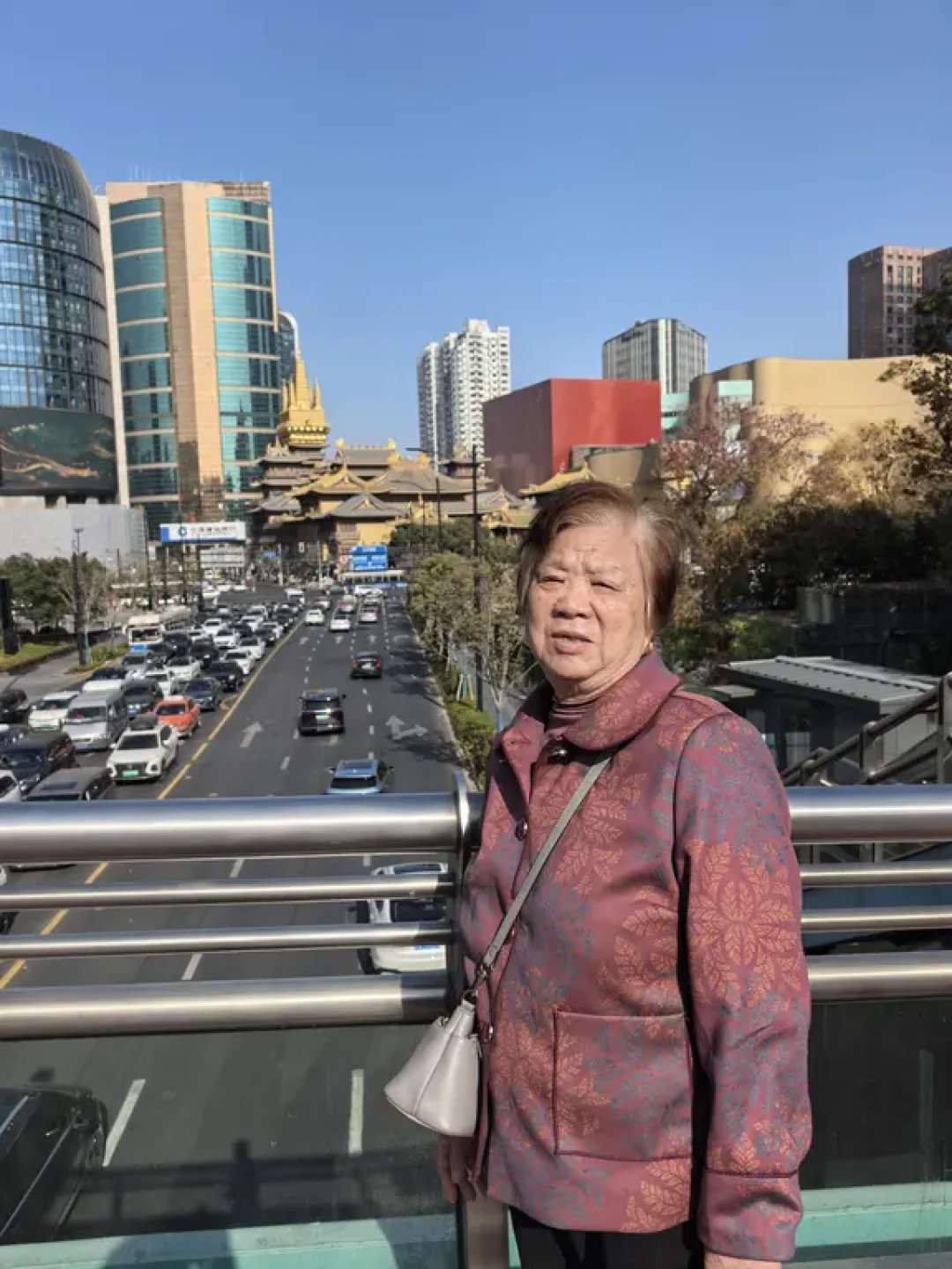带80岁高龄老人轻松游上海三天两夜攻略
