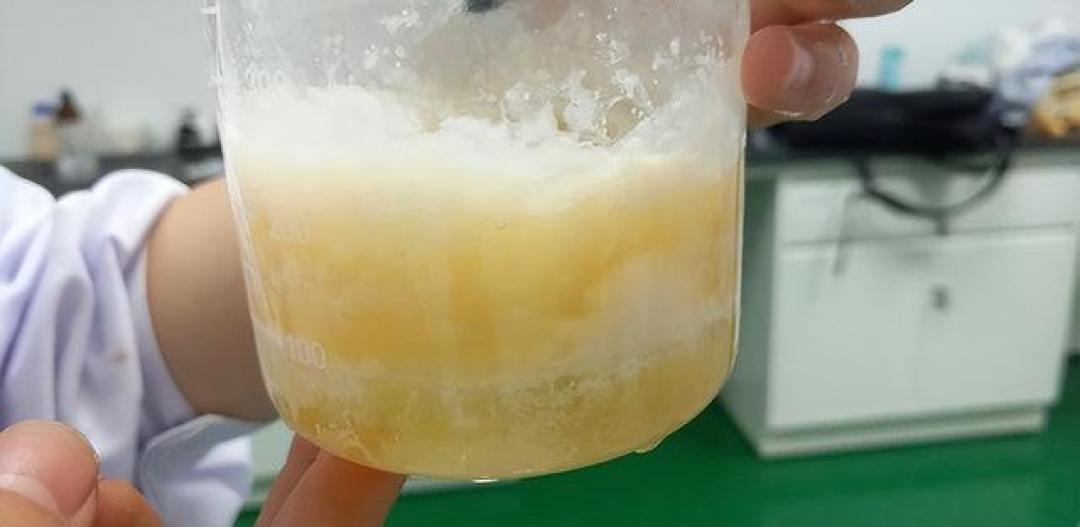山药被重新证明!科学家:山药里的黏蛋白,或能保护胰腺?
