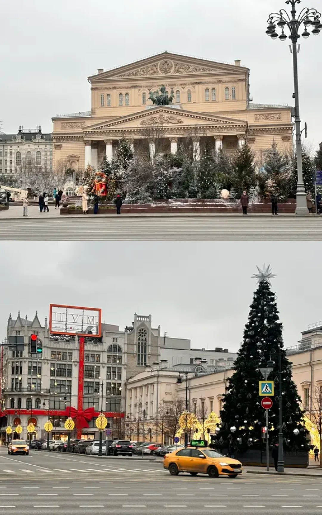 俄罗斯圣诞树位置🎄Рождественская ёлка