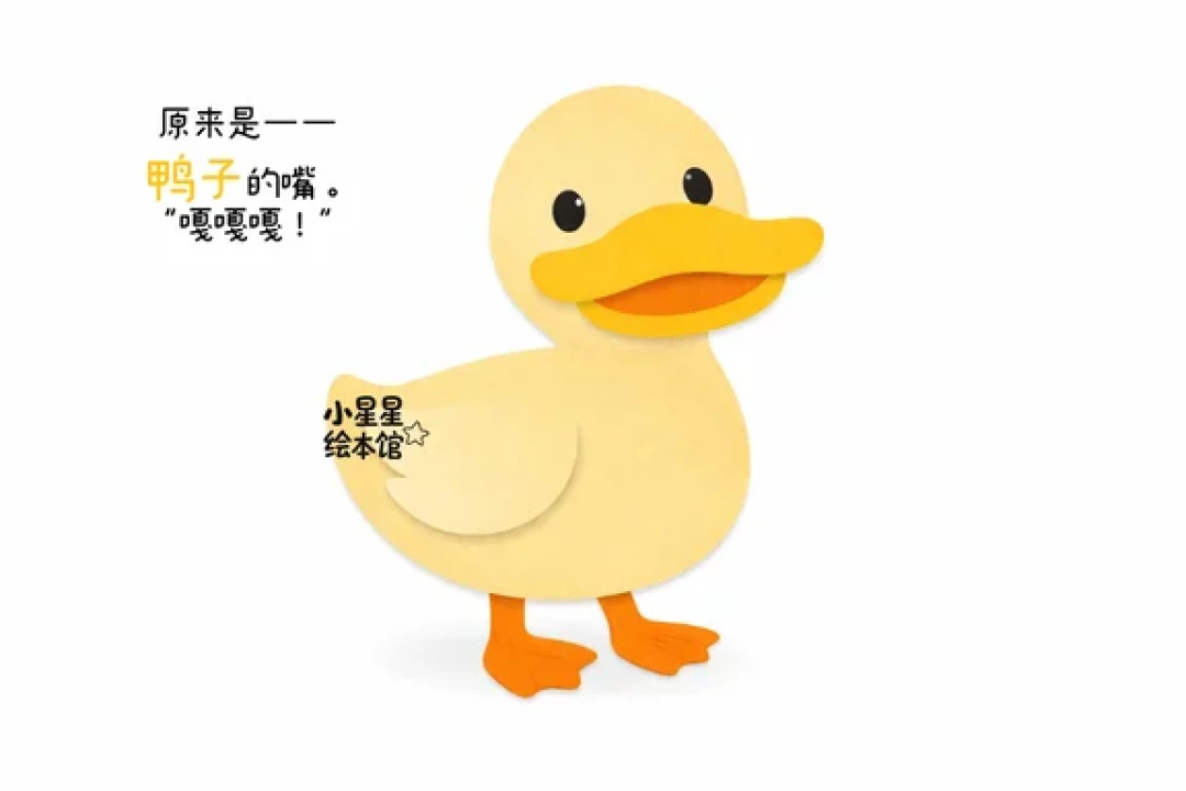 儿童互动动物趣味科普绘本故事|谁的嘴?
