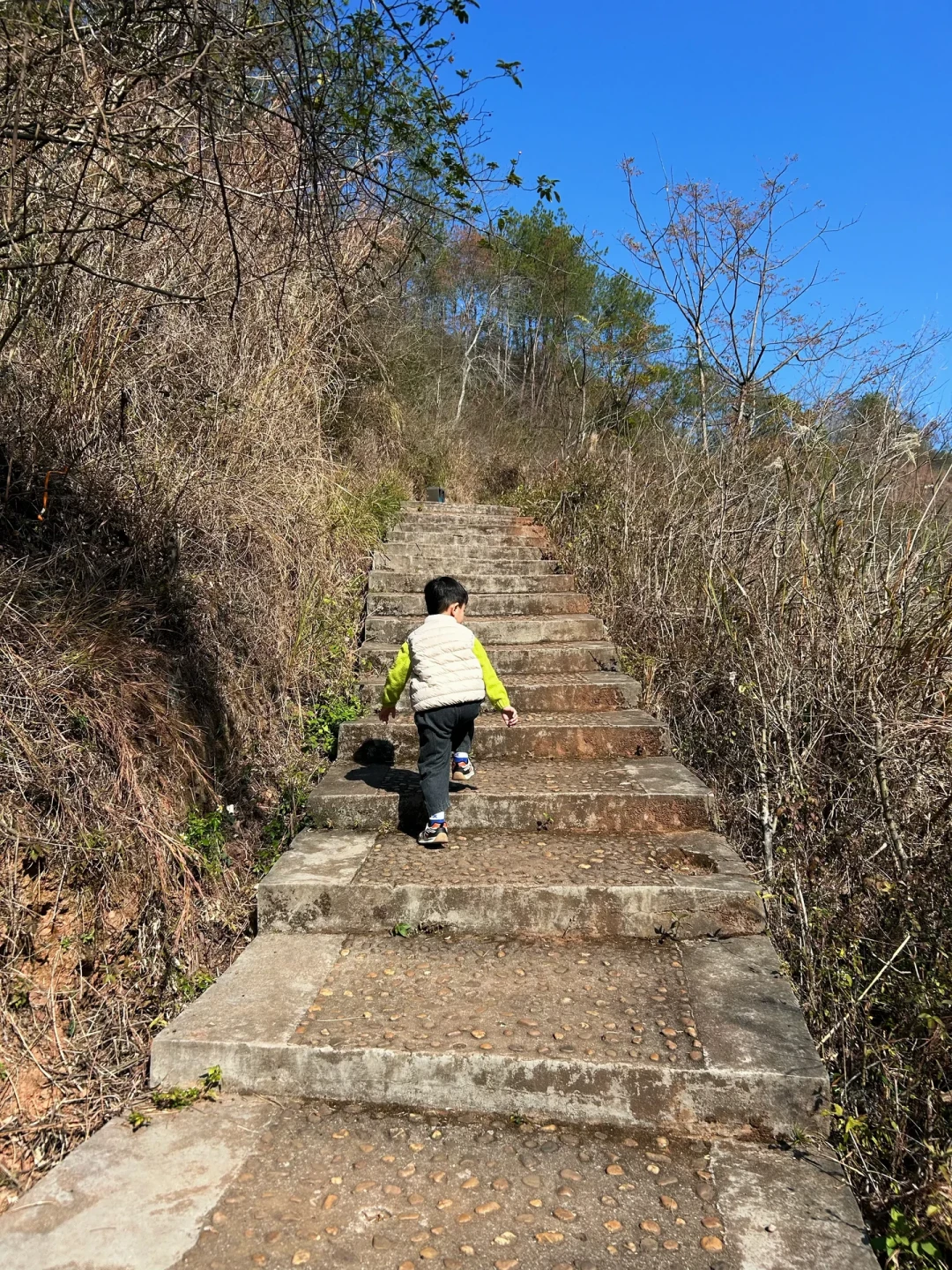 赣州马口生态公园|带娃爬山的宝藏路线!