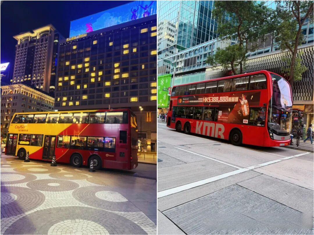 香港亲子游四天四夜,超实用保姆级旅行攻略!