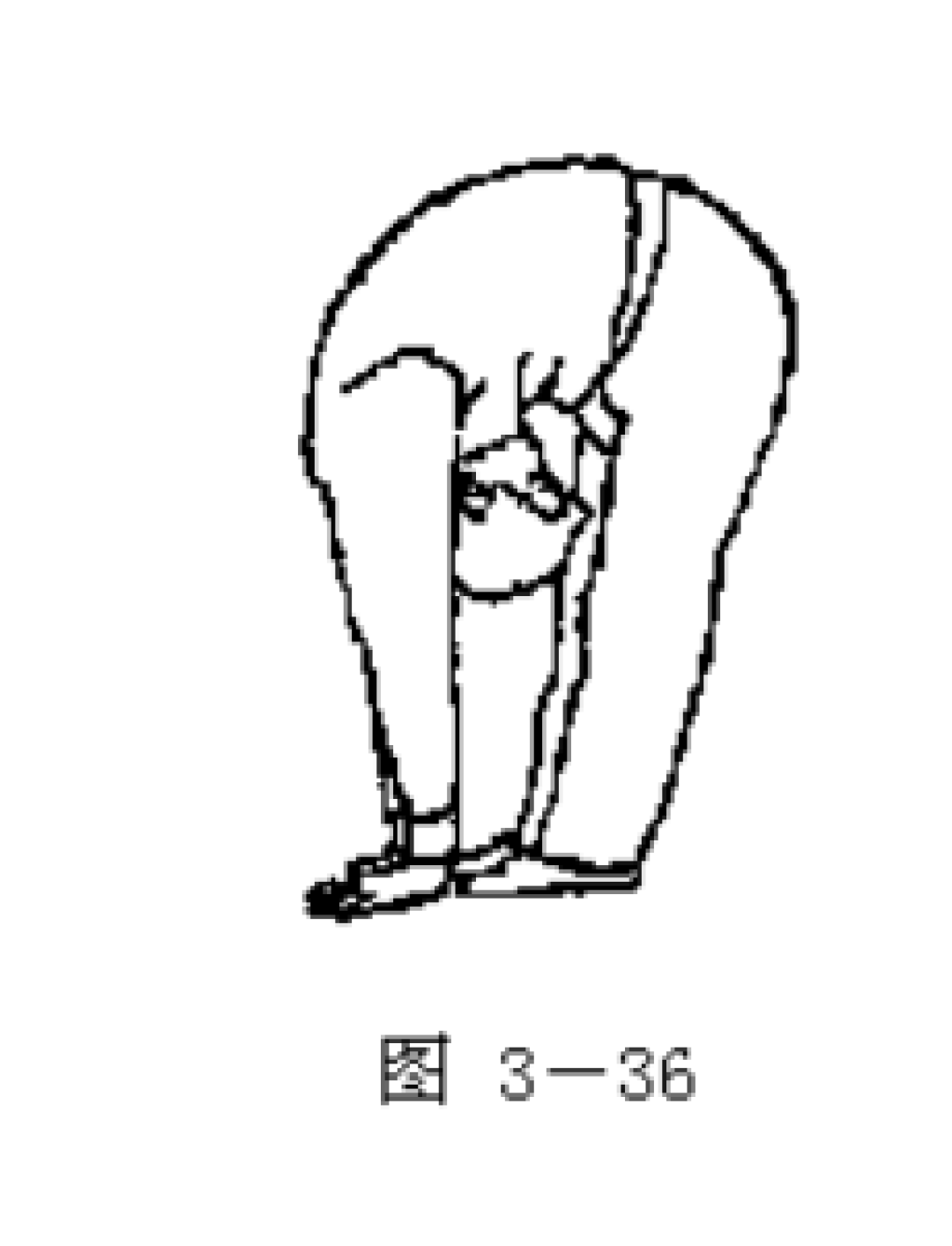 江西中医药大学中医运动养生法