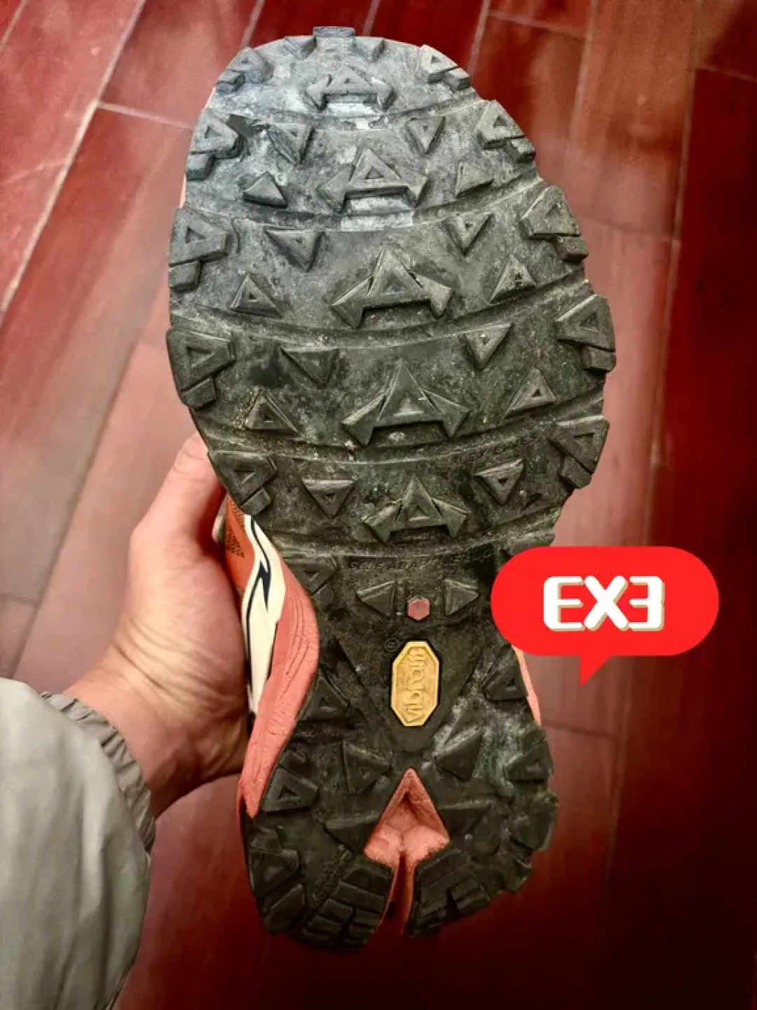 Fuga EX3 长测报告