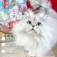 养宠人真心话！这款猫粮玻璃胃+挑食怪双满意