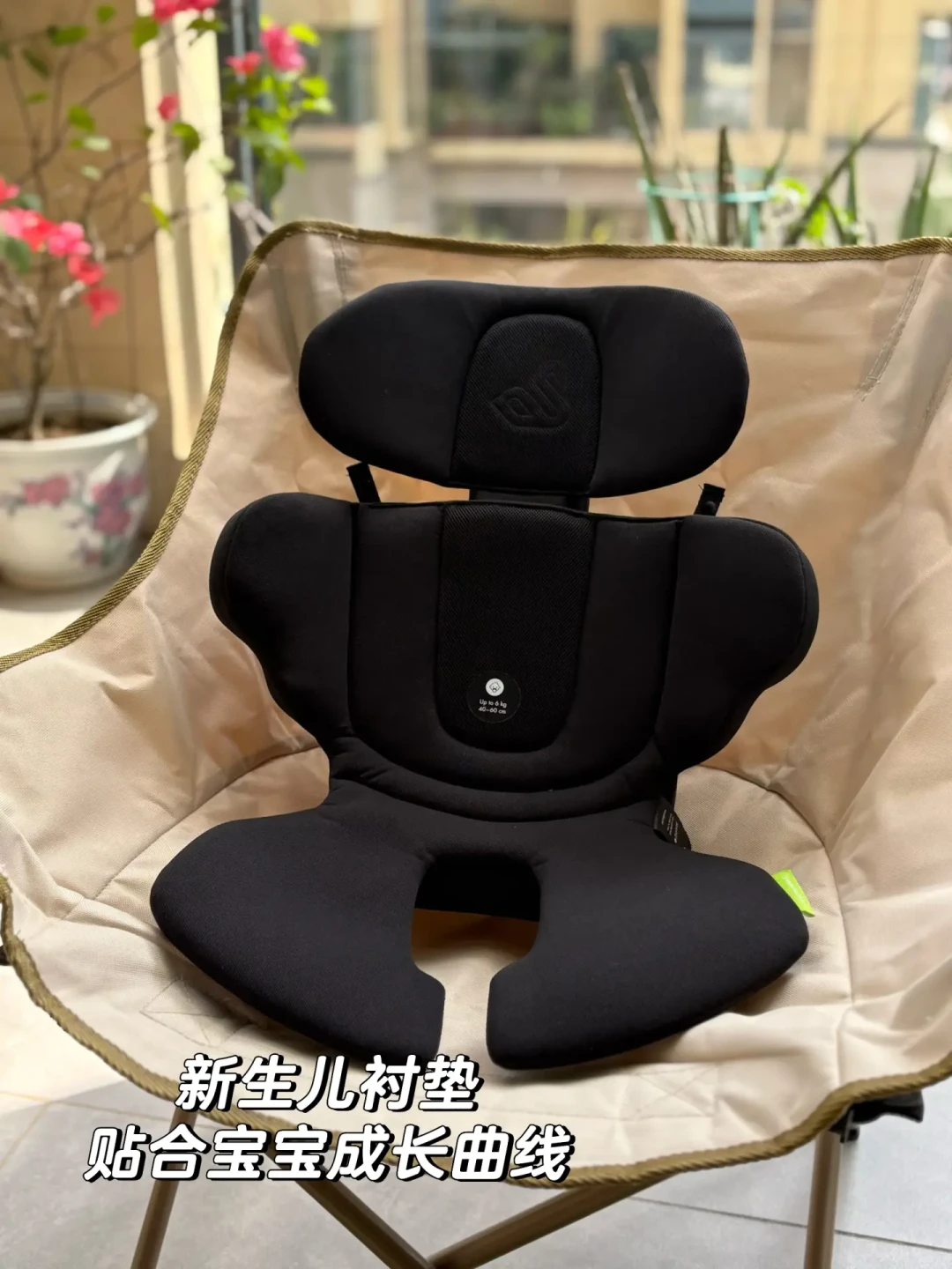 🤰Baby Share丨孕中期就开始选安全座椅啦