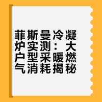 菲斯曼全预混冷凝炉燃气消耗统计