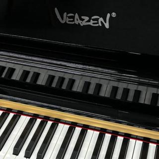 触碰灵魂的重力:为什么你的指法在进步,琴声却越来越“假”?