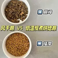 老年猫挑食？这份选粮攻略拿走不谢