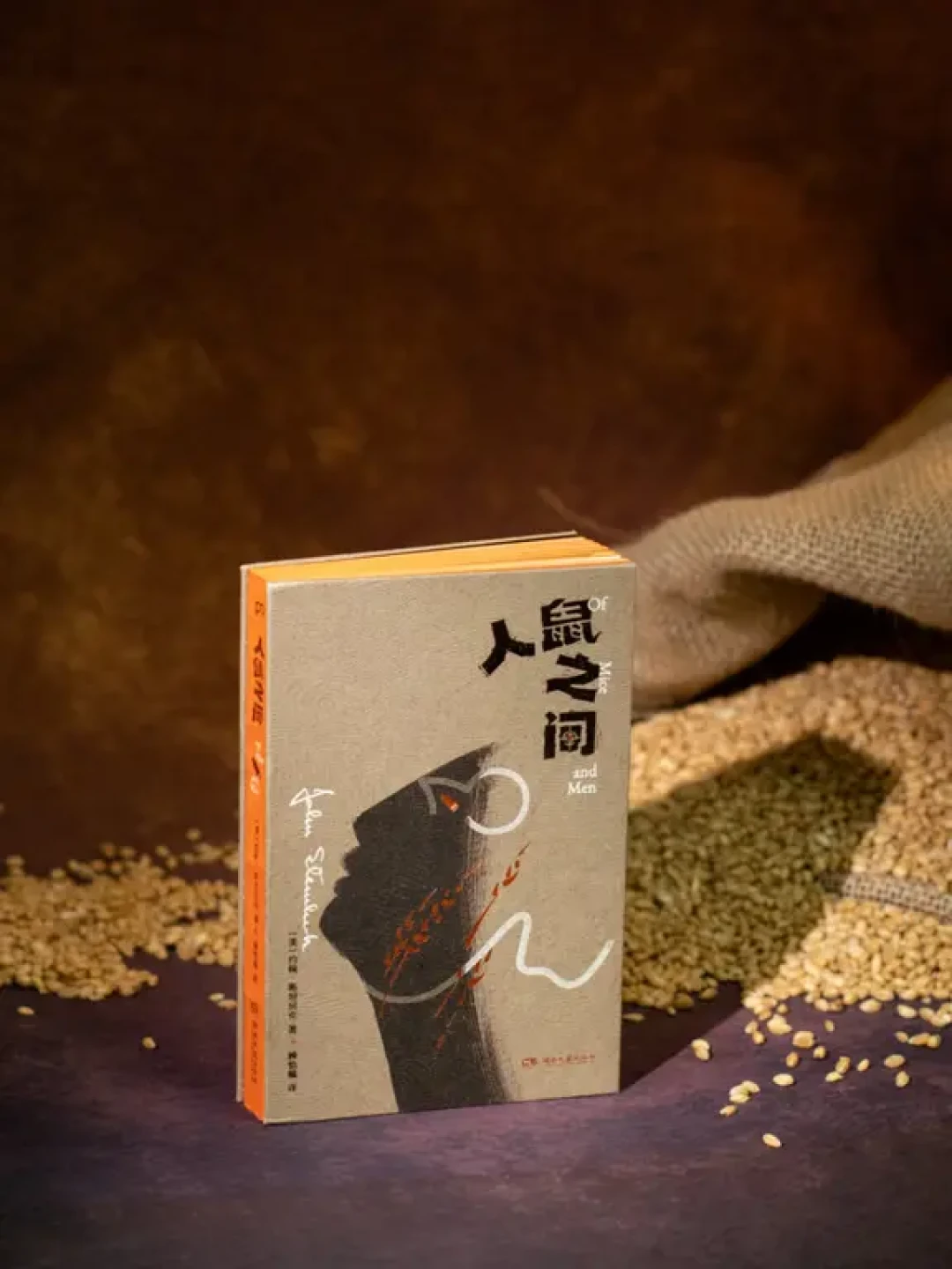 我们与命运周旋的方式,不过是不断做梦