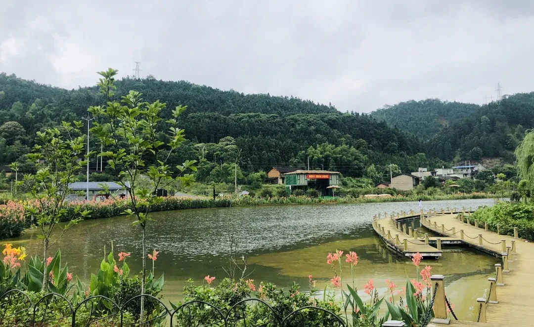 什么是“旅居武夷”?这五个村庄,给出了比观光更迷人的定义