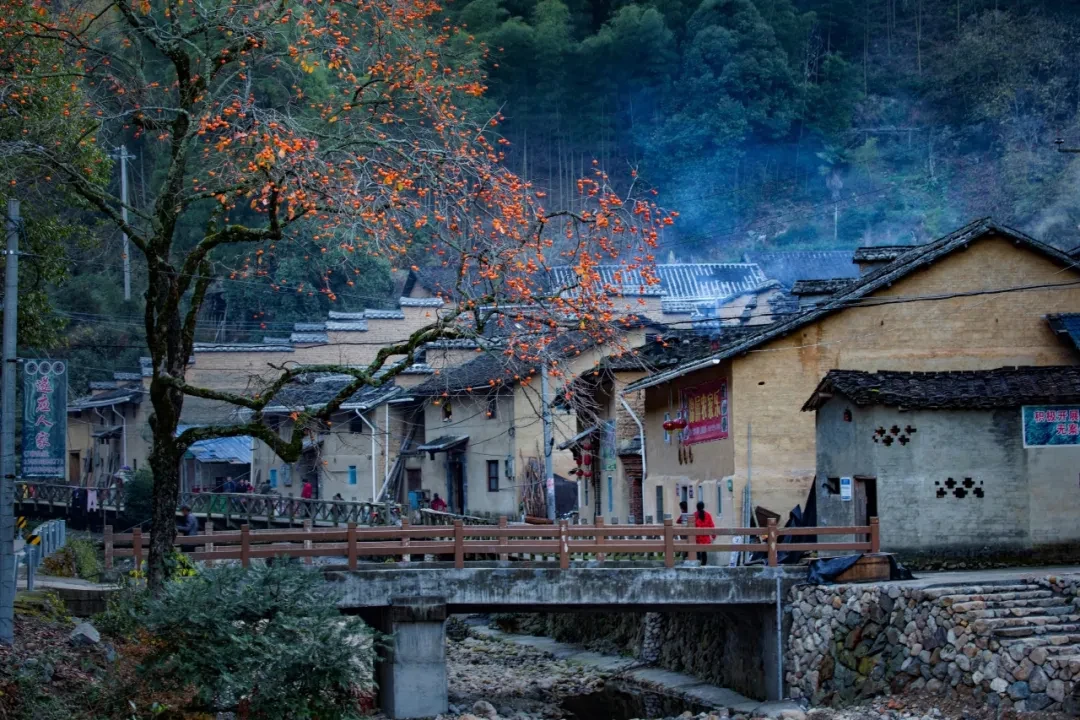 什么是“旅居武夷”?这五个村庄,给出了比观光更迷人的定义