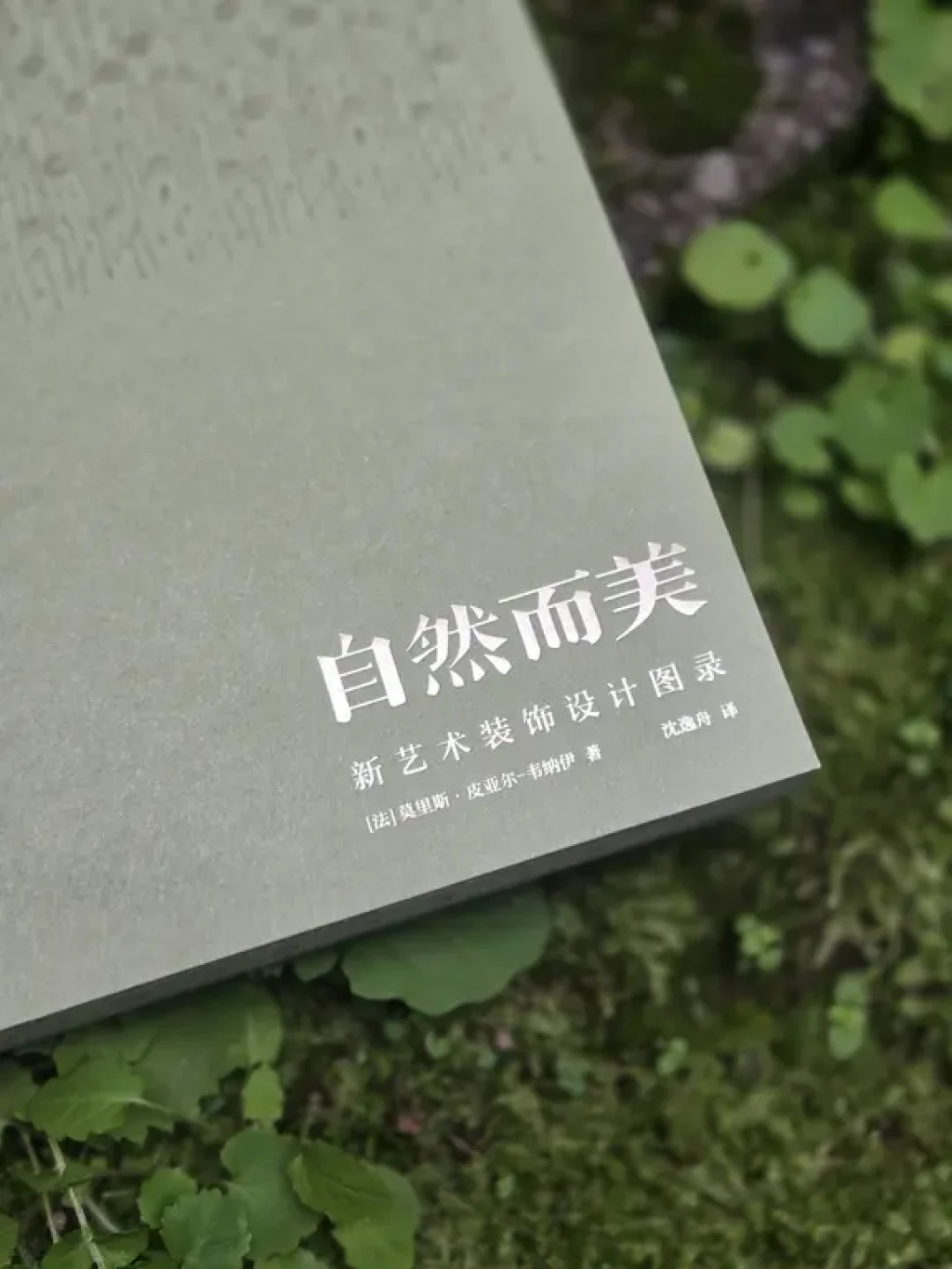 美出天际!急需纹样和设计灵感的朋友看这里