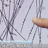 300元到底能不能买一件真羽绒服？