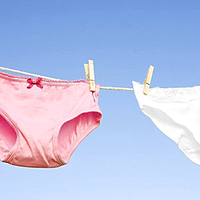 2026内衣洗衣机测评：小熊、希亦、oidire性能差距大公开！一文解答