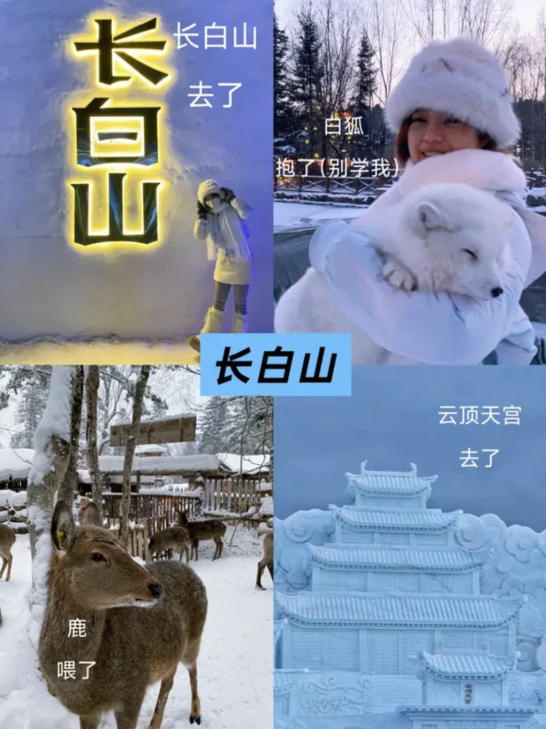 东北三省,历时九天,花费5k