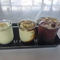 逛普洱咖啡庄园游玩攻略【自用备忘】