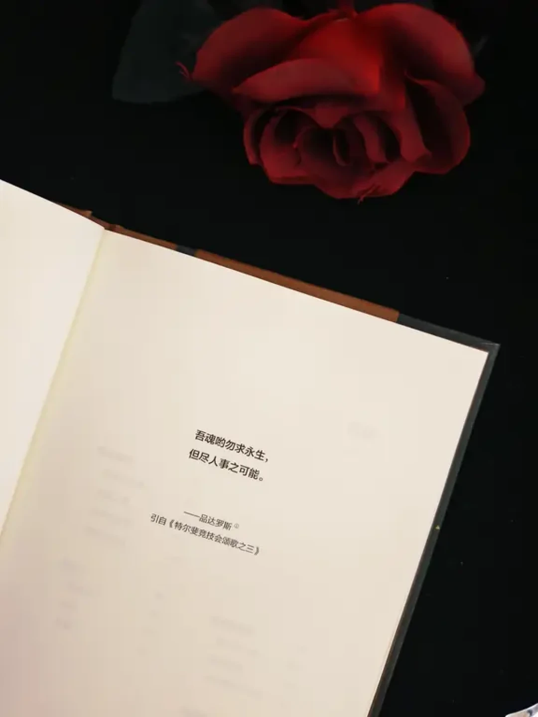 后浪让荒诞哲学有了画面感💟西西弗神话