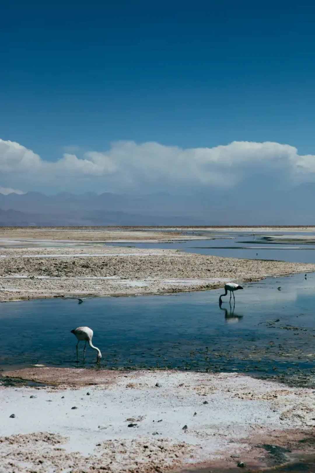 Atacama tour分享（下）