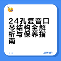 24孔C调复音口琴核心结构特点解析:读懂构造,才能吹好琴
