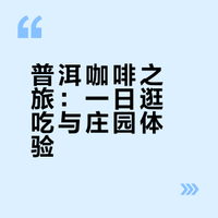 跟着小熊游云南｜普洱Day1️⃣4️⃣攻略
