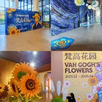 深圳人‼美到窒息的梵高花园开到坪山了🌻