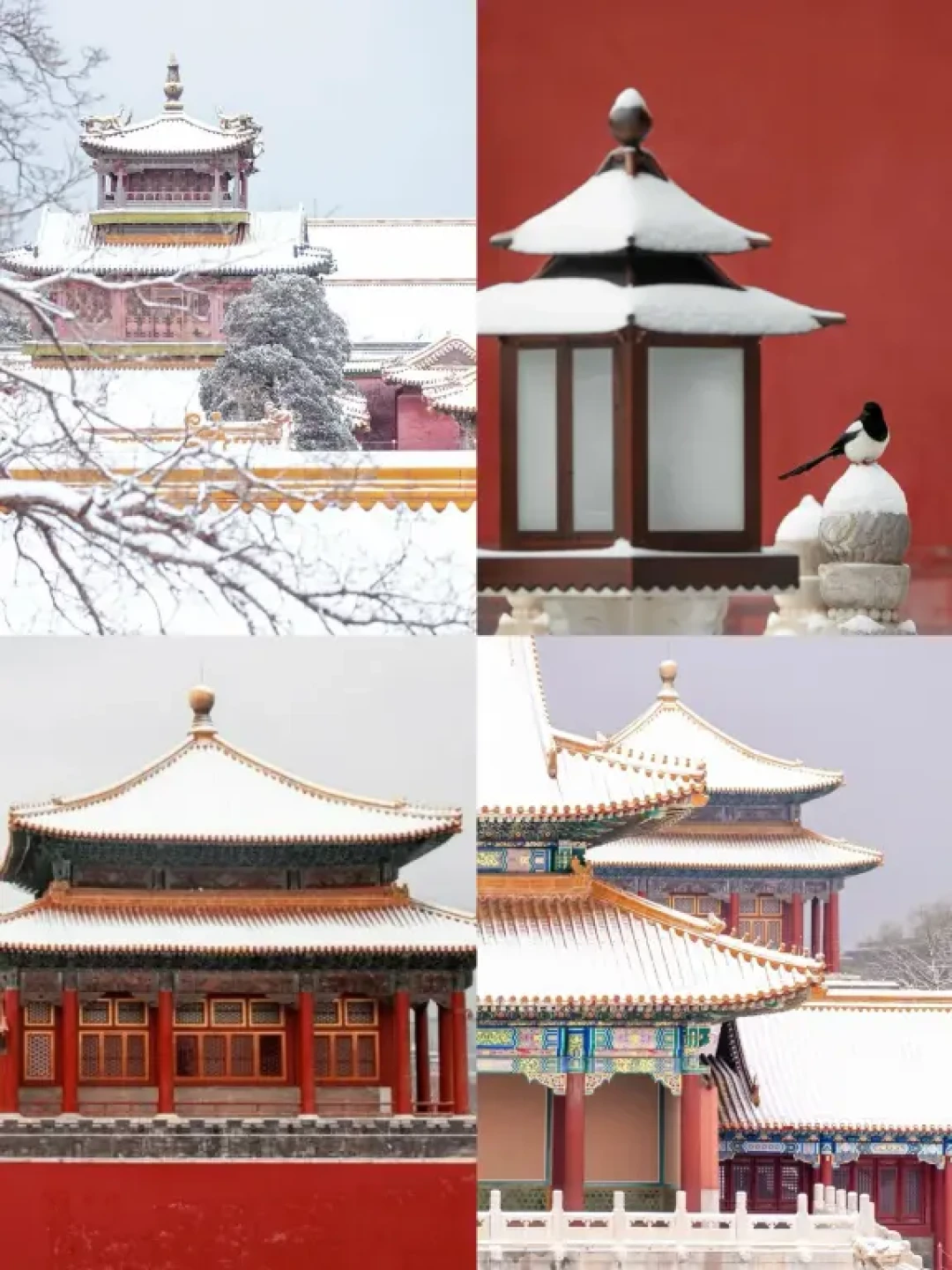 古法过冬|北京大雪后,必去10大赏雪胜地❄️
