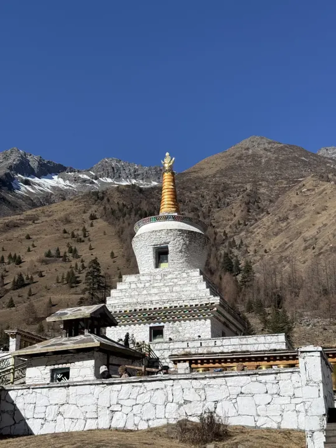 不排队不踩雷，4小时轻松游玩双桥沟⛰️