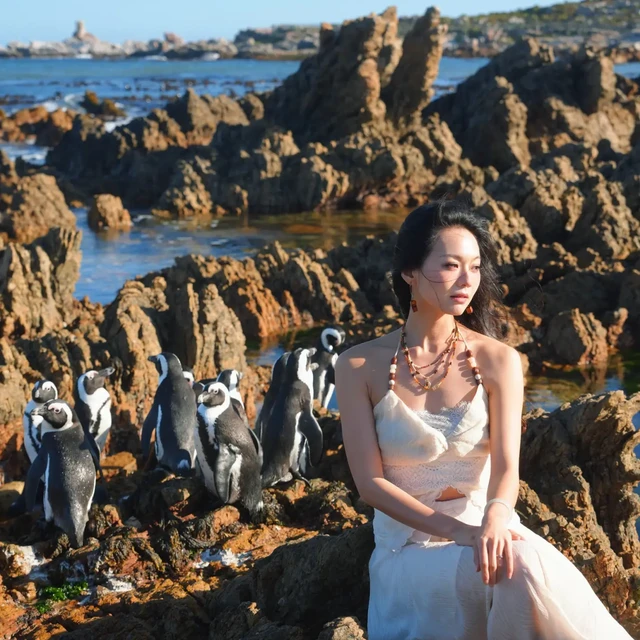 🇿🇦 南非花园大道就看这一篇，全程无尿点