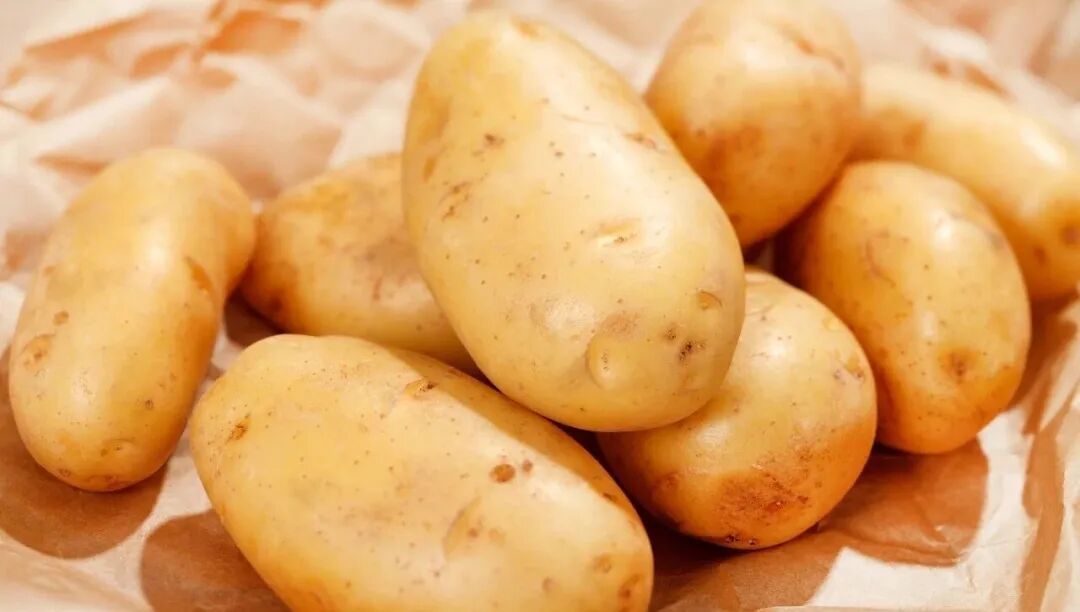 这些低蛋白主食对肾友好,常吃的人也要了解它们的“小缺点”!