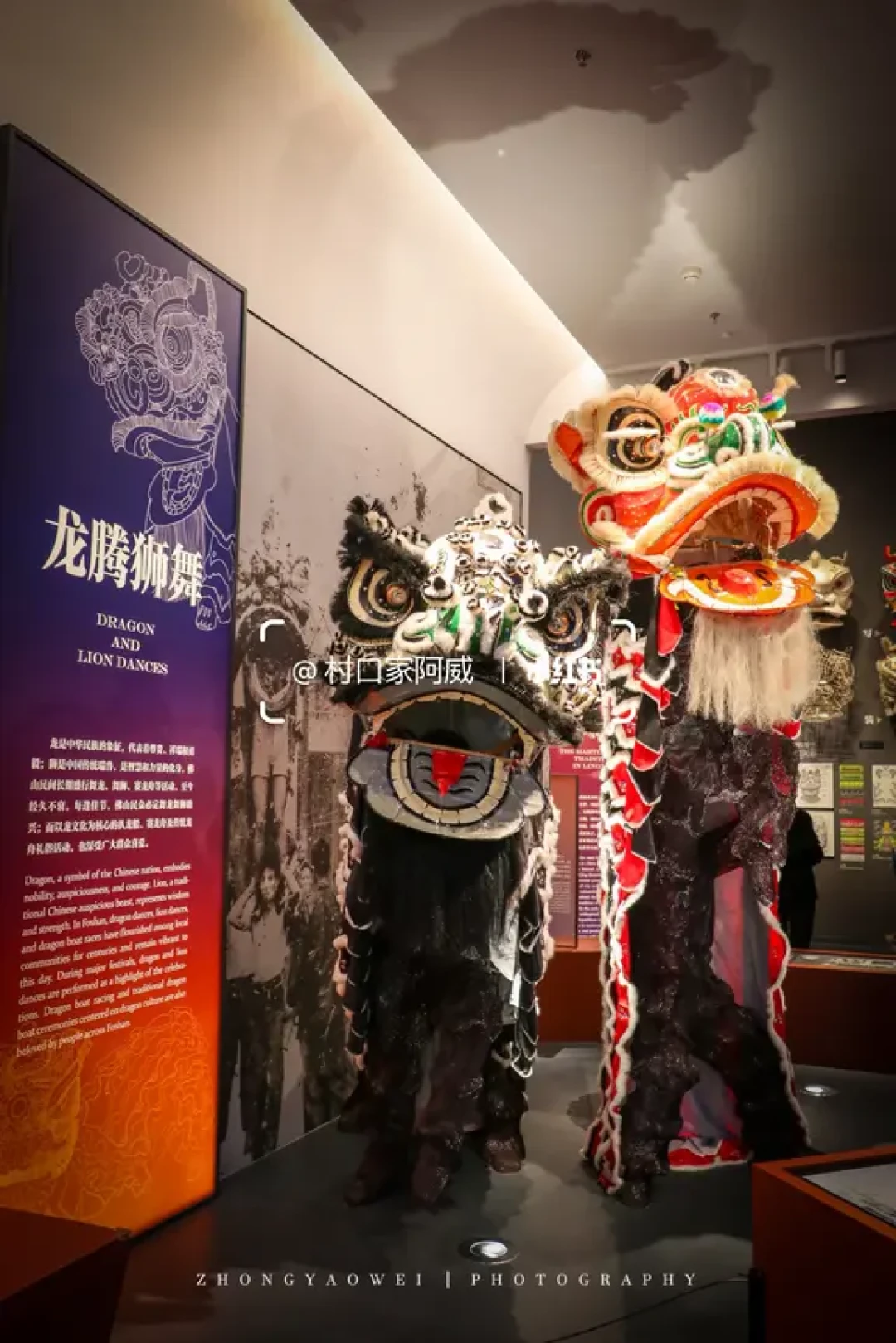 佛山探店|博物馆醒狮迷必冲!非遗传承太震撼