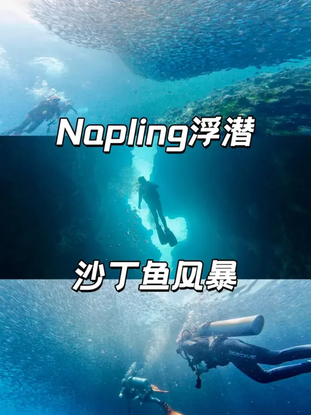 第一次去薄荷岛怎么玩🏝看这一篇就够啦!