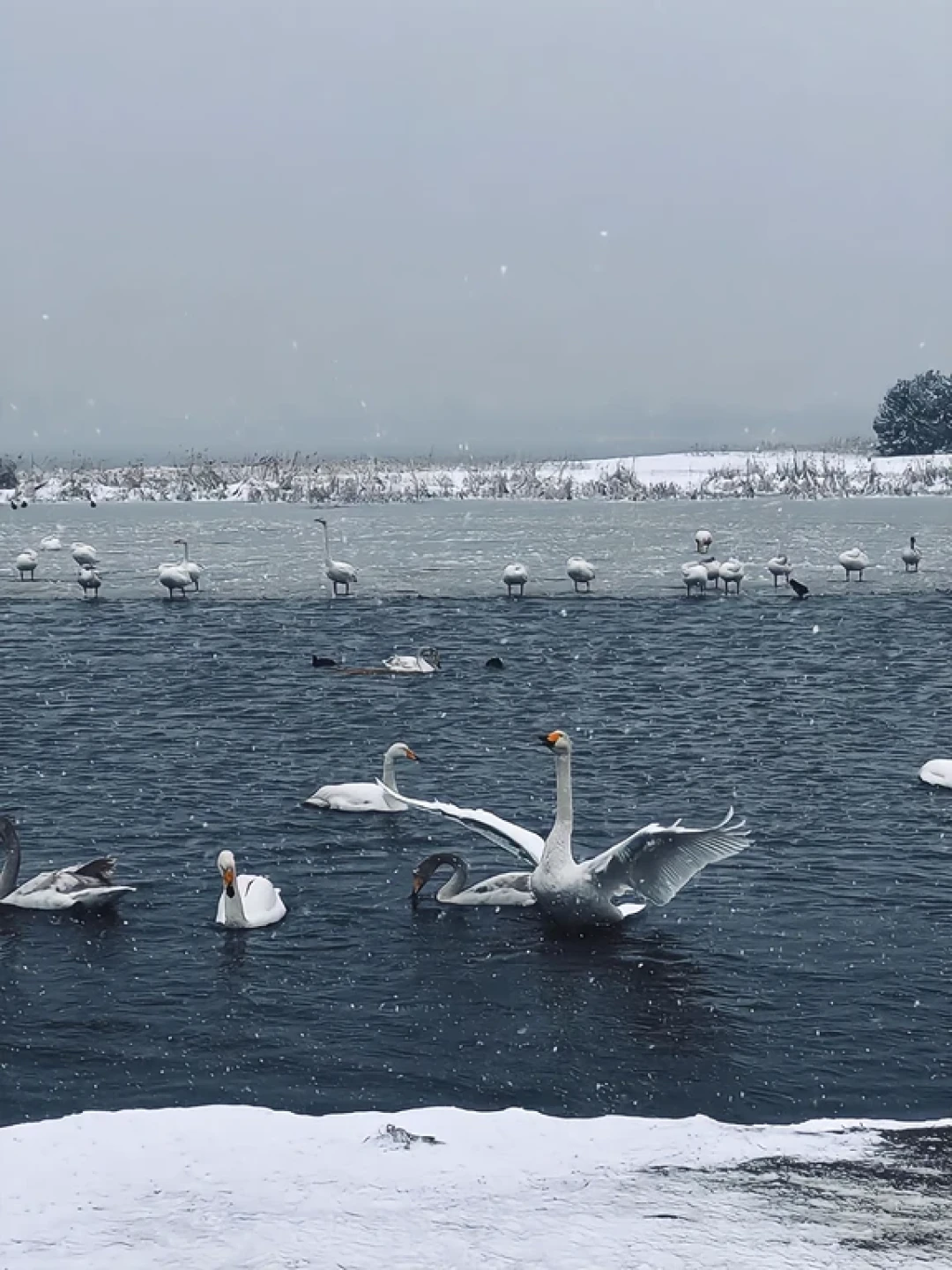 威海冬季看雪攻略😍