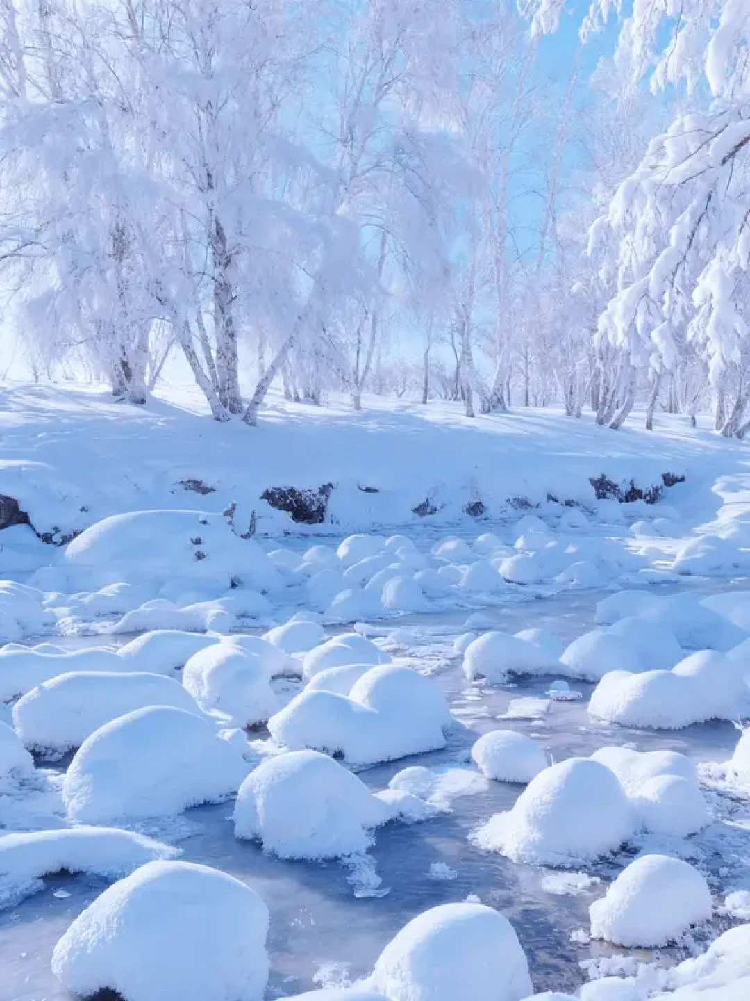 11.24❄️终于等到了乌兰布统的初雪!