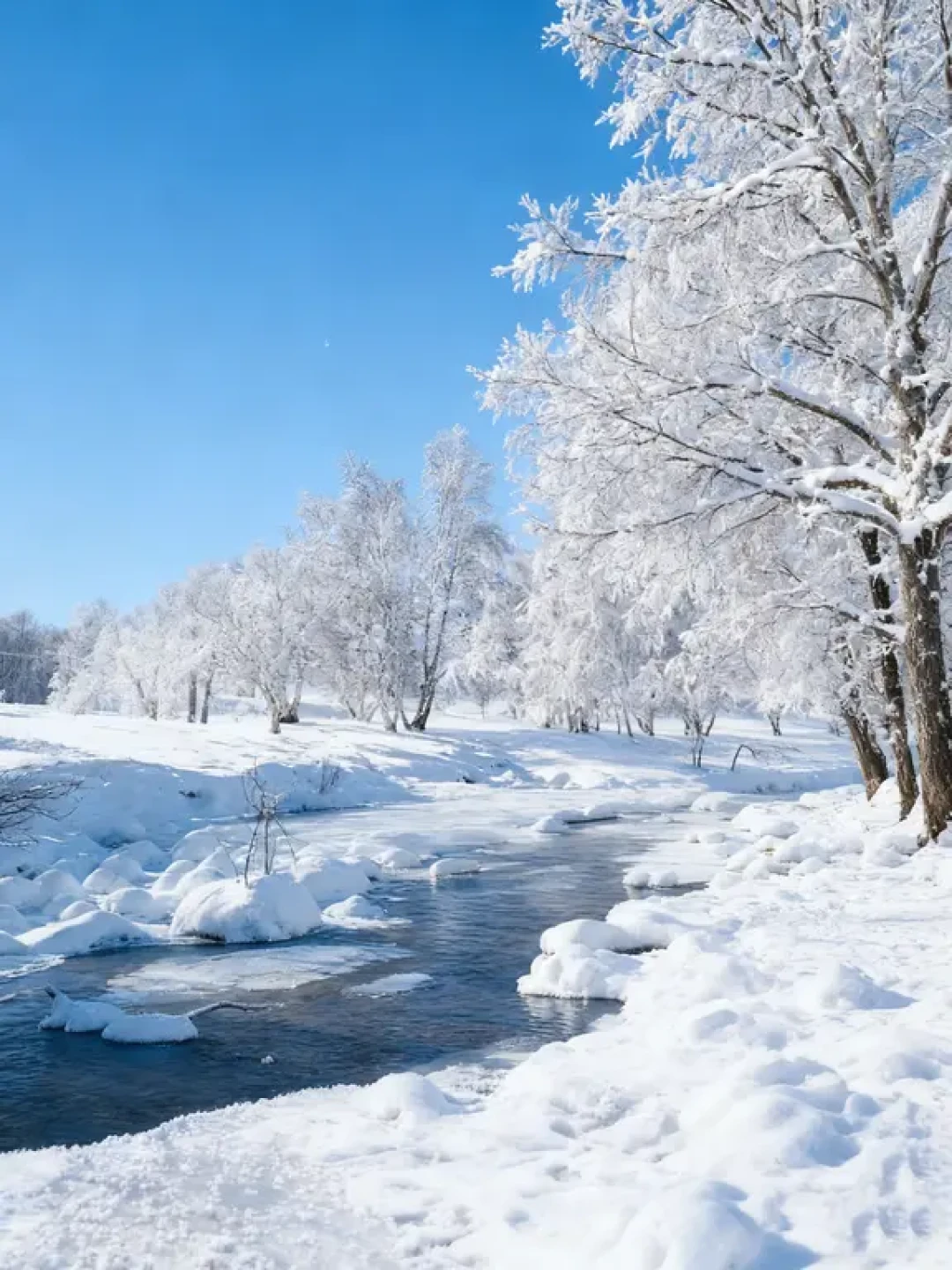 11.24❄️终于等到了乌兰布统的初雪!