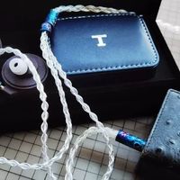 如何选择「播放器前端」？